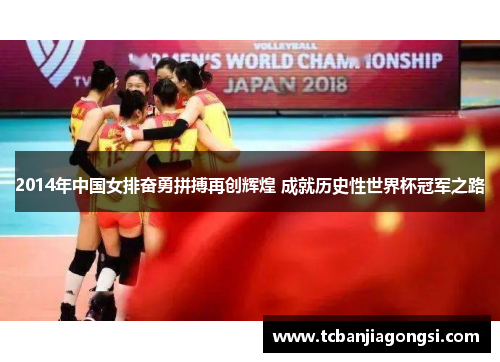 2014年中国女排奋勇拼搏再创辉煌 成就历史性世界杯冠军之路
